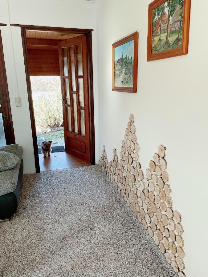 Landhaus Mit Pool, Bungalow In Der Natur Hohenbollentin Εξωτερικό φωτογραφία