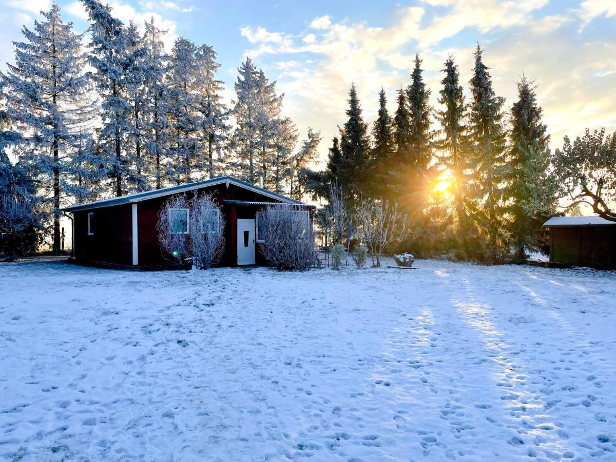 Landhaus Mit Pool, Bungalow In Der Natur Hohenbollentin Εξωτερικό φωτογραφία