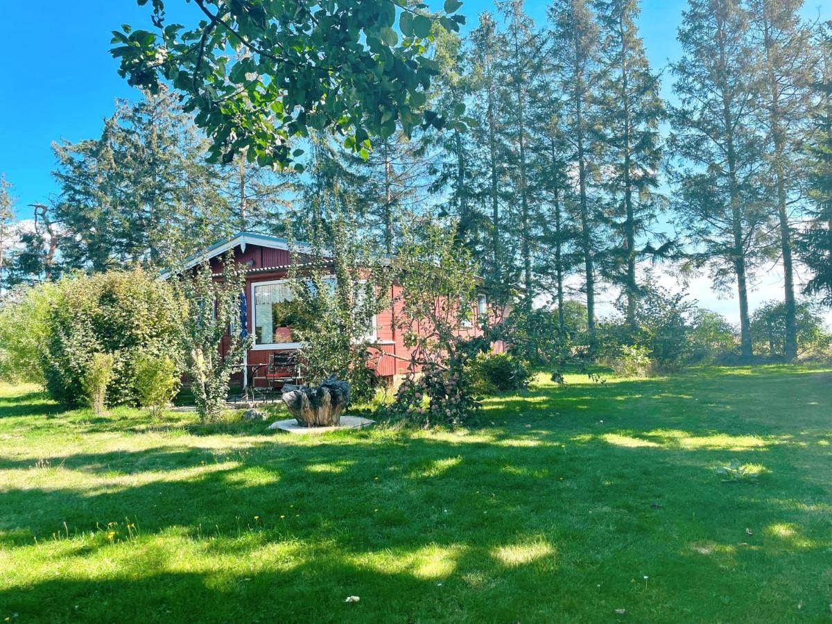 Landhaus Mit Pool, Bungalow In Der Natur Hohenbollentin Εξωτερικό φωτογραφία