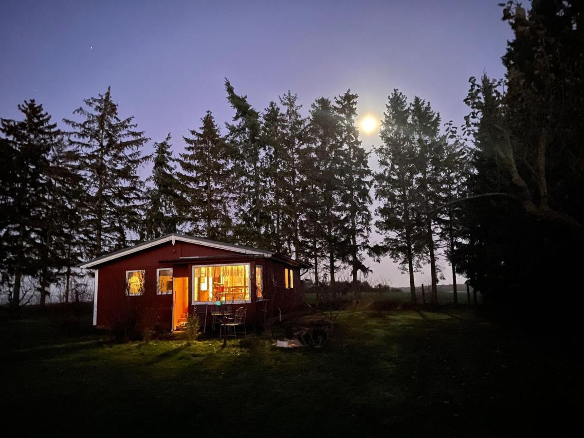 Landhaus Mit Pool, Bungalow In Der Natur Hohenbollentin Εξωτερικό φωτογραφία